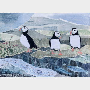 A3 Puffins