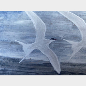 Rare bird illustration capturing the essence of wildlife