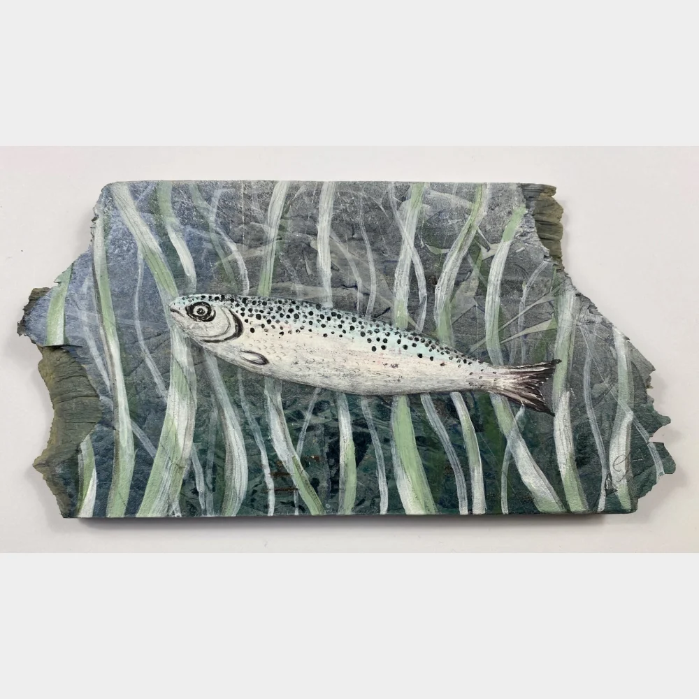 Little Trout