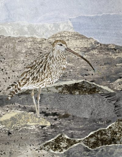 Curlew - Bird Painting