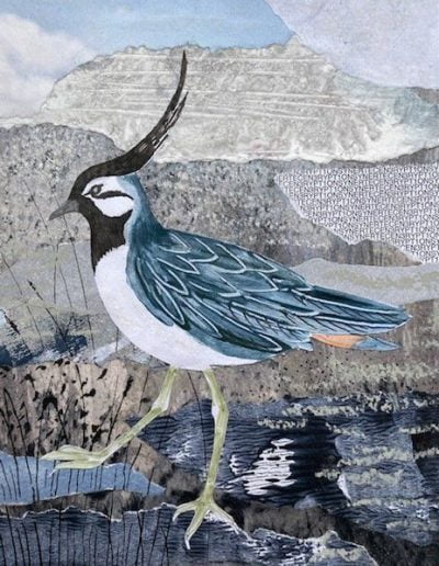 Lapwing - Bird Painting