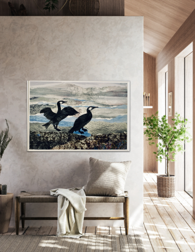 A4 Cormorants insitu