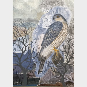 Sparrowhawk - Bird painting
