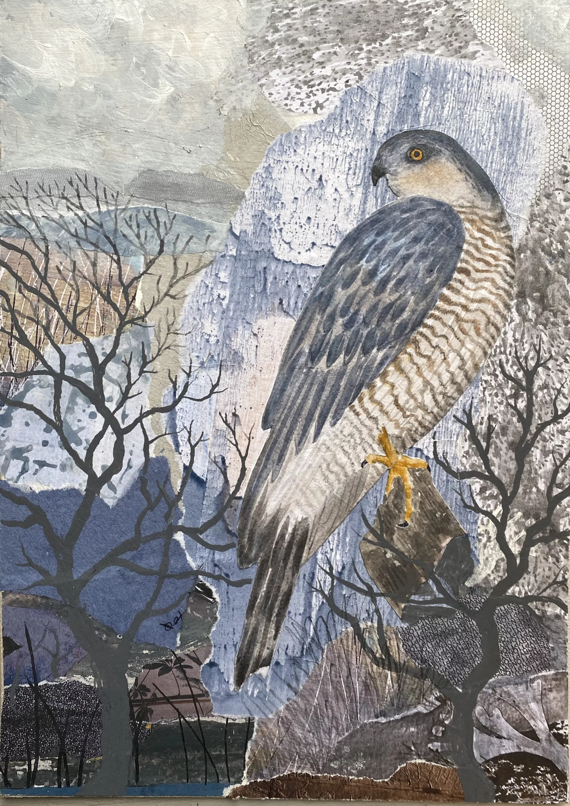 Sparrowhawk - Bird painting