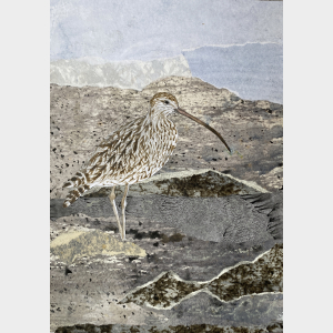 Curliew - Bird Painting