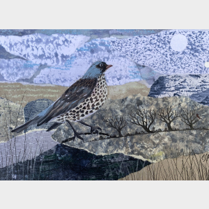 Fieldfare - Bird Painting