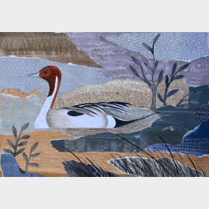 Pintail - Bird Painting