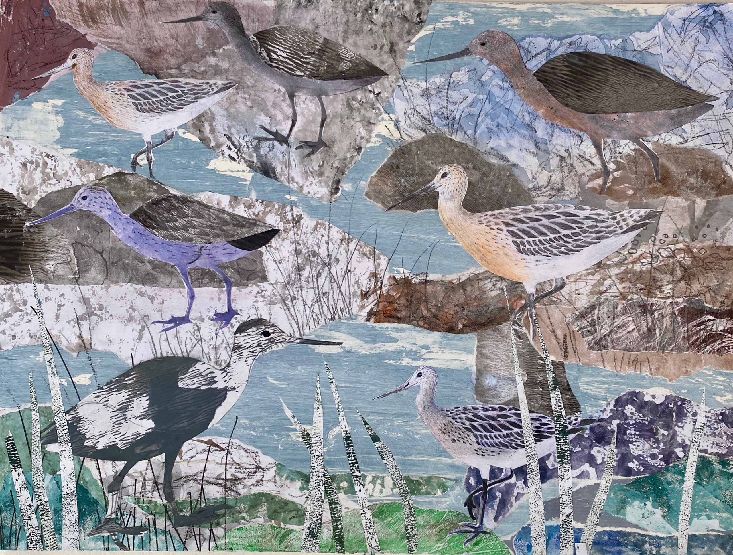 Godwit Collection HR