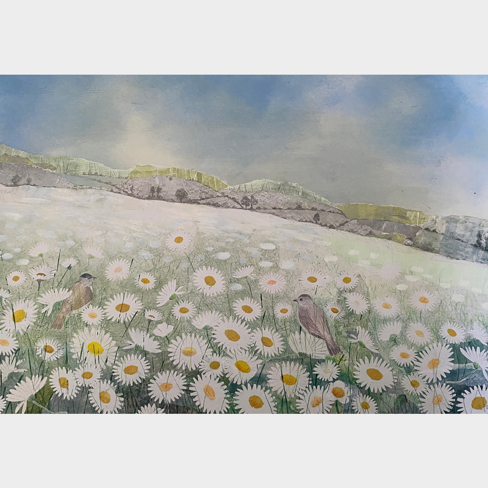 A2 Seasonal Collage - Ox Eye daisies in May