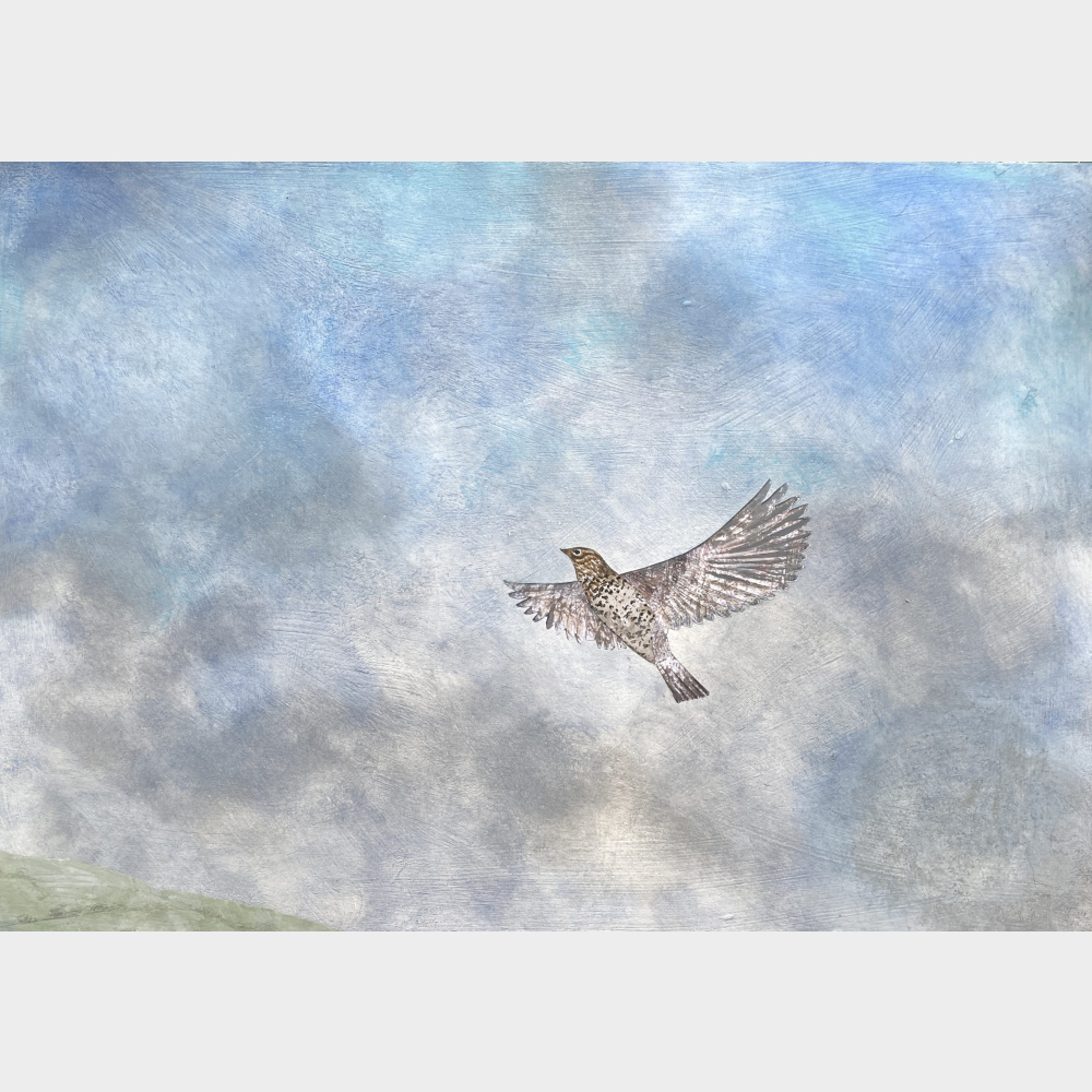 A2 Seasonal Collage - Crows – Harvest leftovers in August