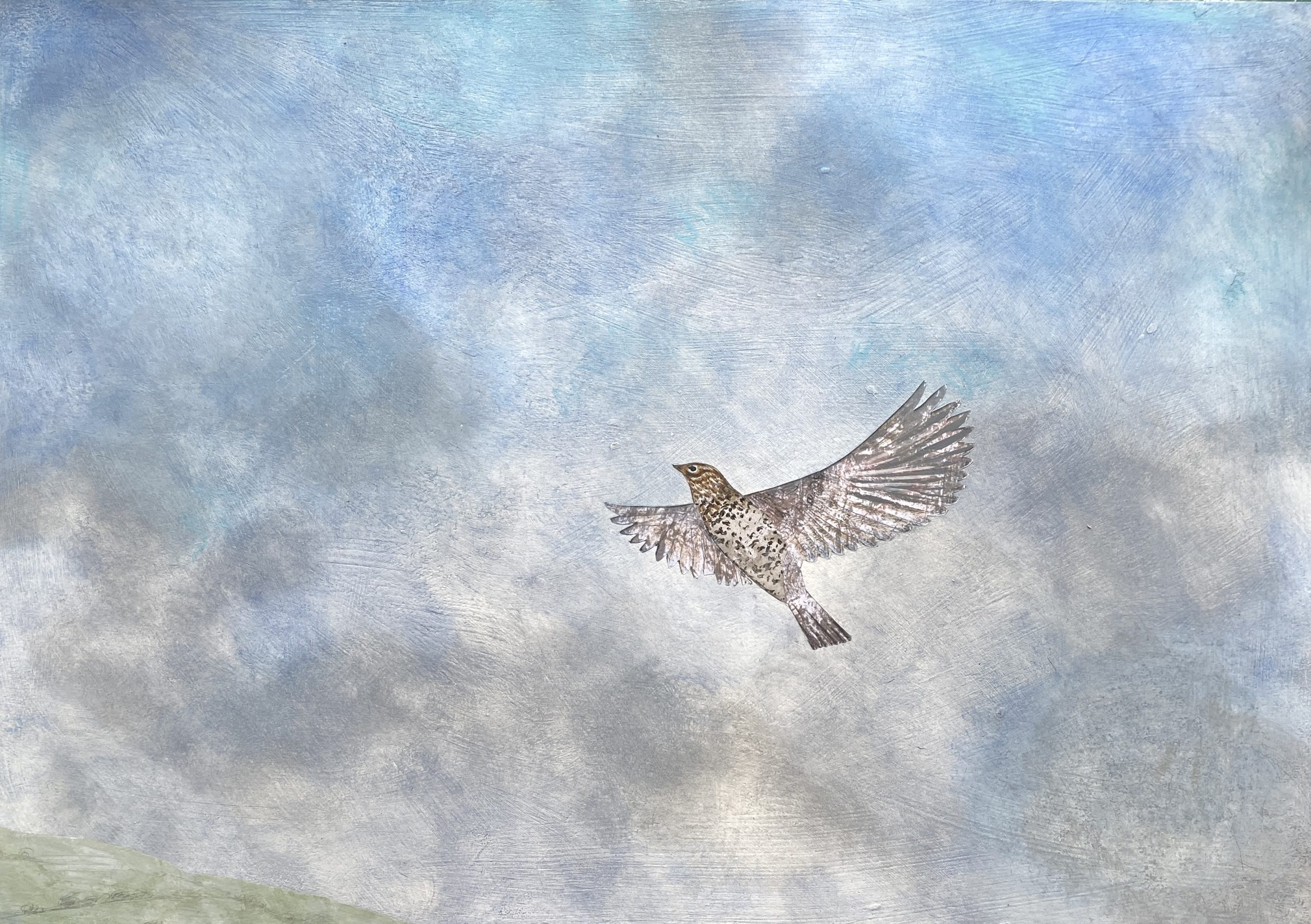 7. Flying High HR - July