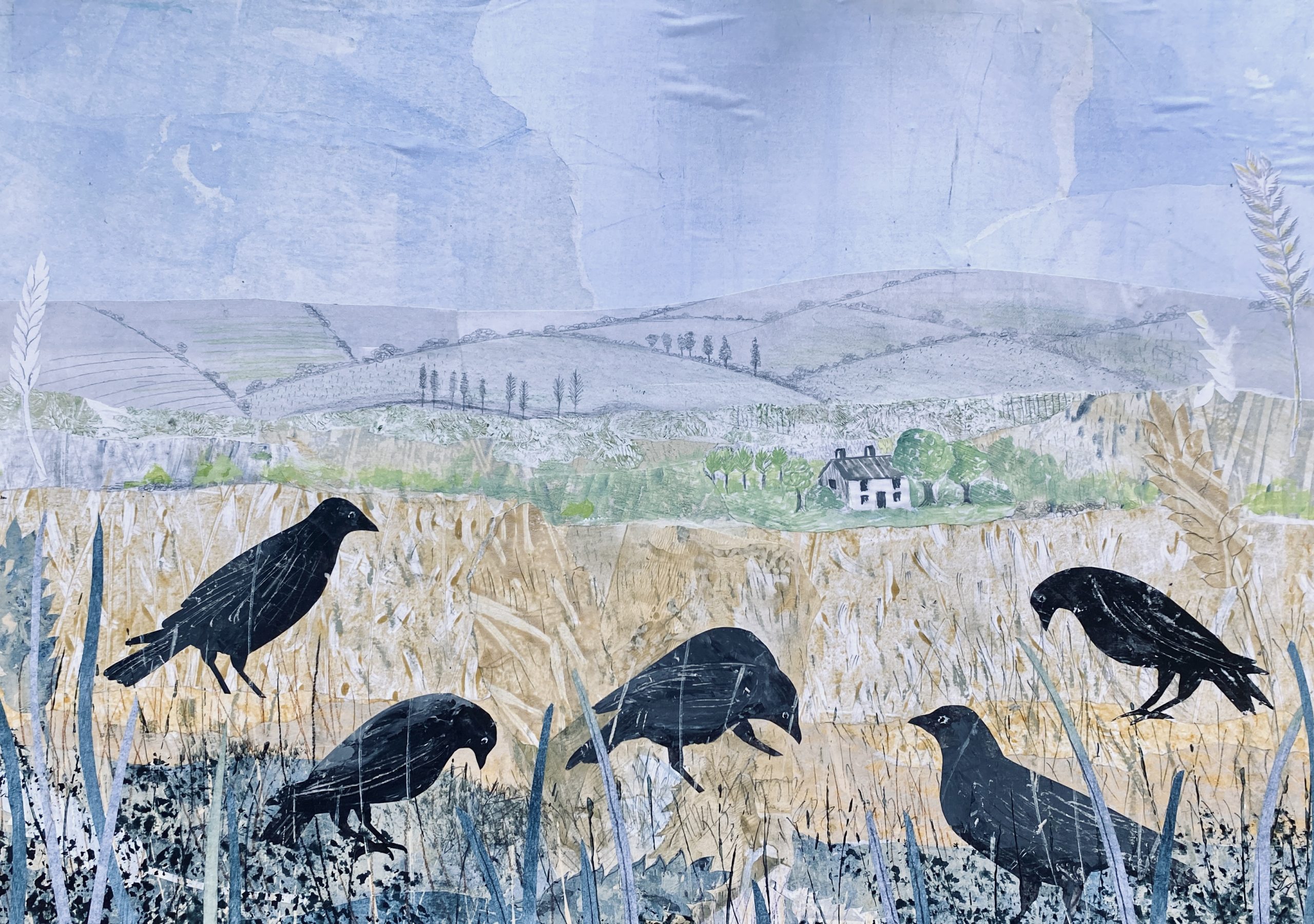 8. Crows - Harvest leftovers HR - August